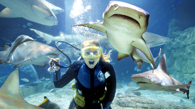 Melbourne Aquarium