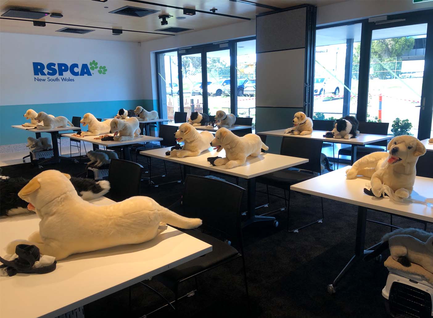 RSPCA NSW Education Centre